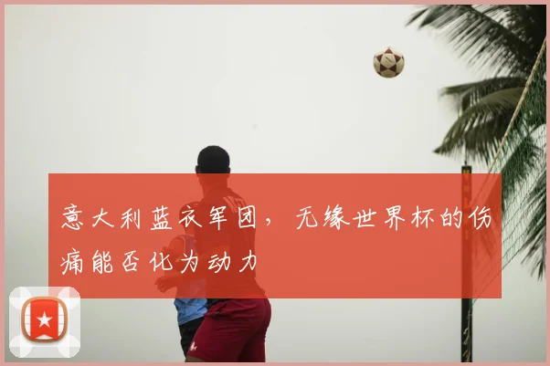 意大利蓝衣军团，无缘世界杯的伤痛能否化为动力