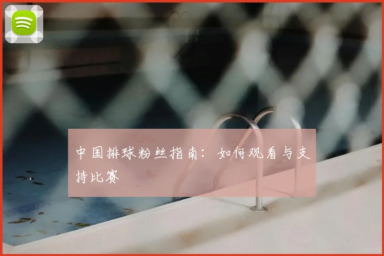 中国排球粉丝指南：如何观看与支持比赛
