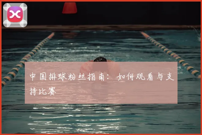 中国排球粉丝指南:如何观看与支持比赛