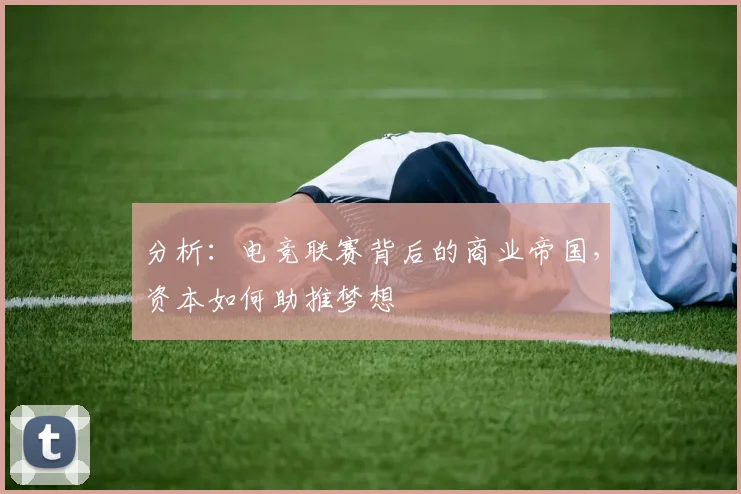 分析:电竞联赛背后的商业帝国,资本如何助推梦想
