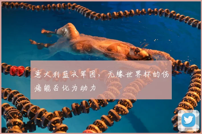 意大利蓝衣军团,无缘世界杯的伤痛能否化为动力